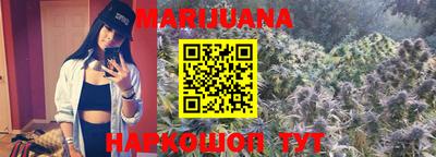 индика Нальчик