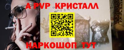 индика Нальчик